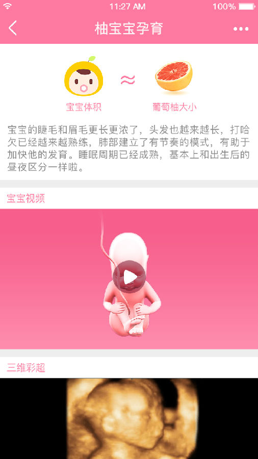 朝夕万年历20294159756332410
