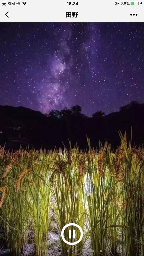 朝夕万年历20294159756332410