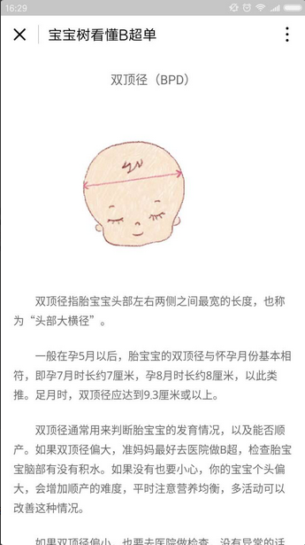 朝夕万年历20294159756332410