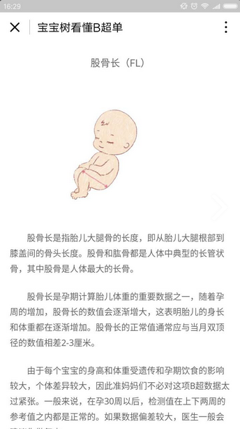 朝夕万年历20294159756332410